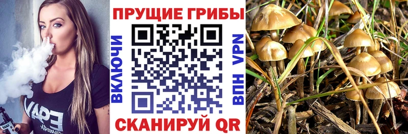 Псилоцибиновые грибы GOLDEN TEACHER Красноармейск